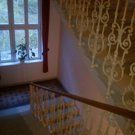 Pension Villa Anita Mariánské Lázně Екстериор снимка